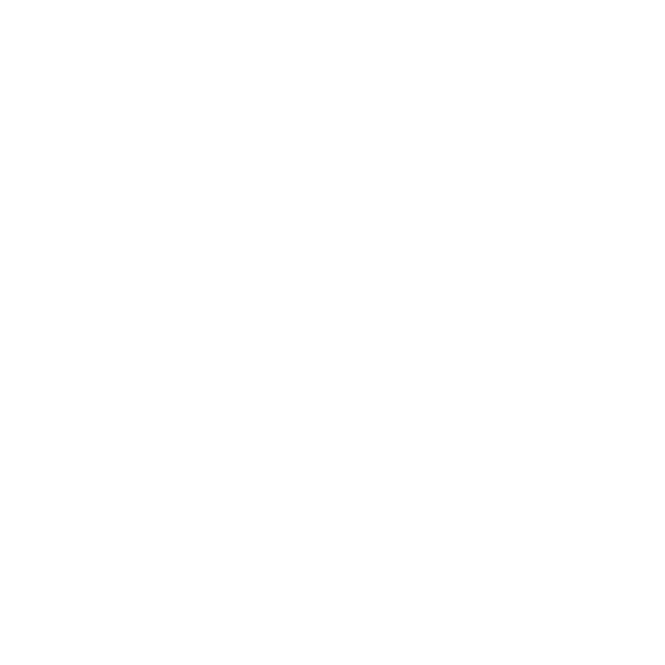 logo blanc vertical